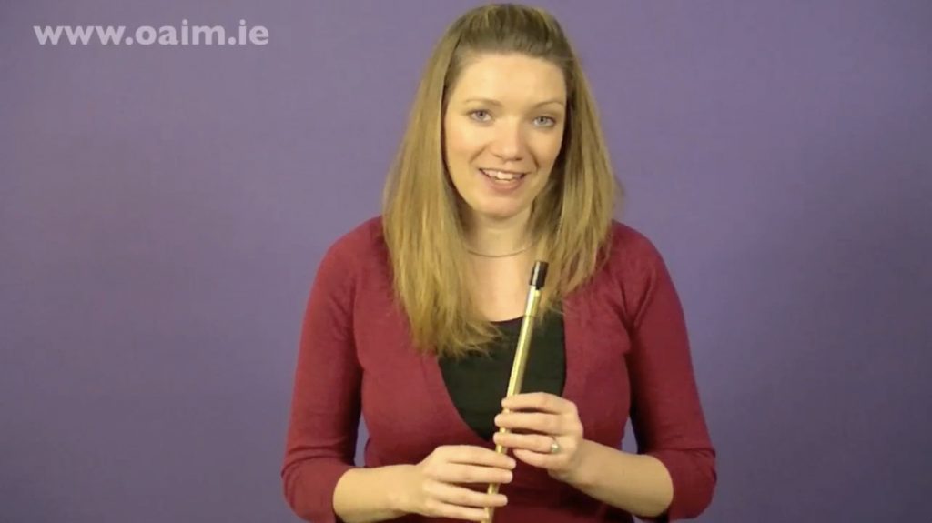 Learn How To Play Tin Whistle Online In 6 Easy Steps - OAIM