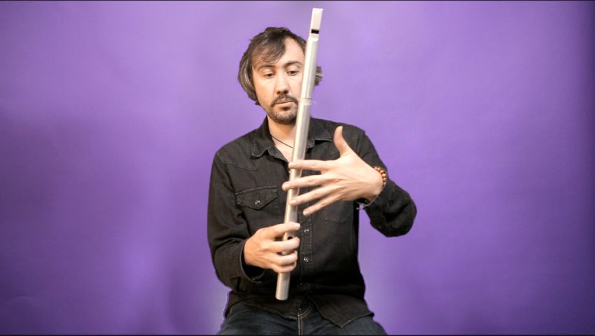 Learn How To Play The Low Whistle in the Irish Tradition